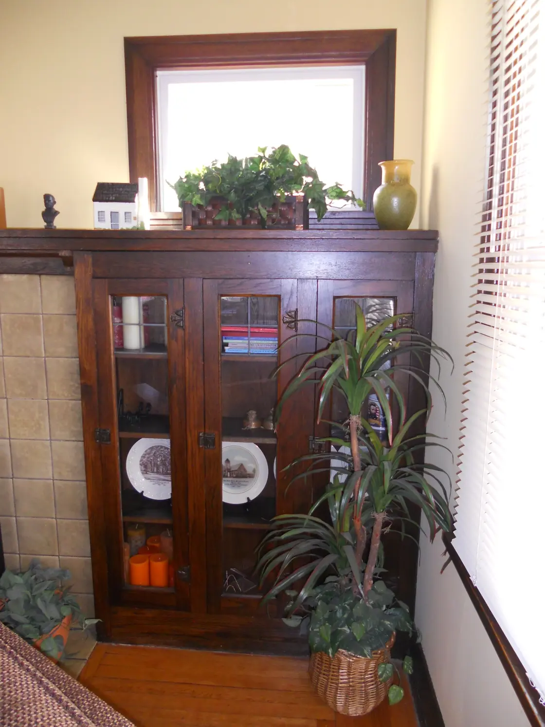 One of the built in bookcases along side the fireplace.