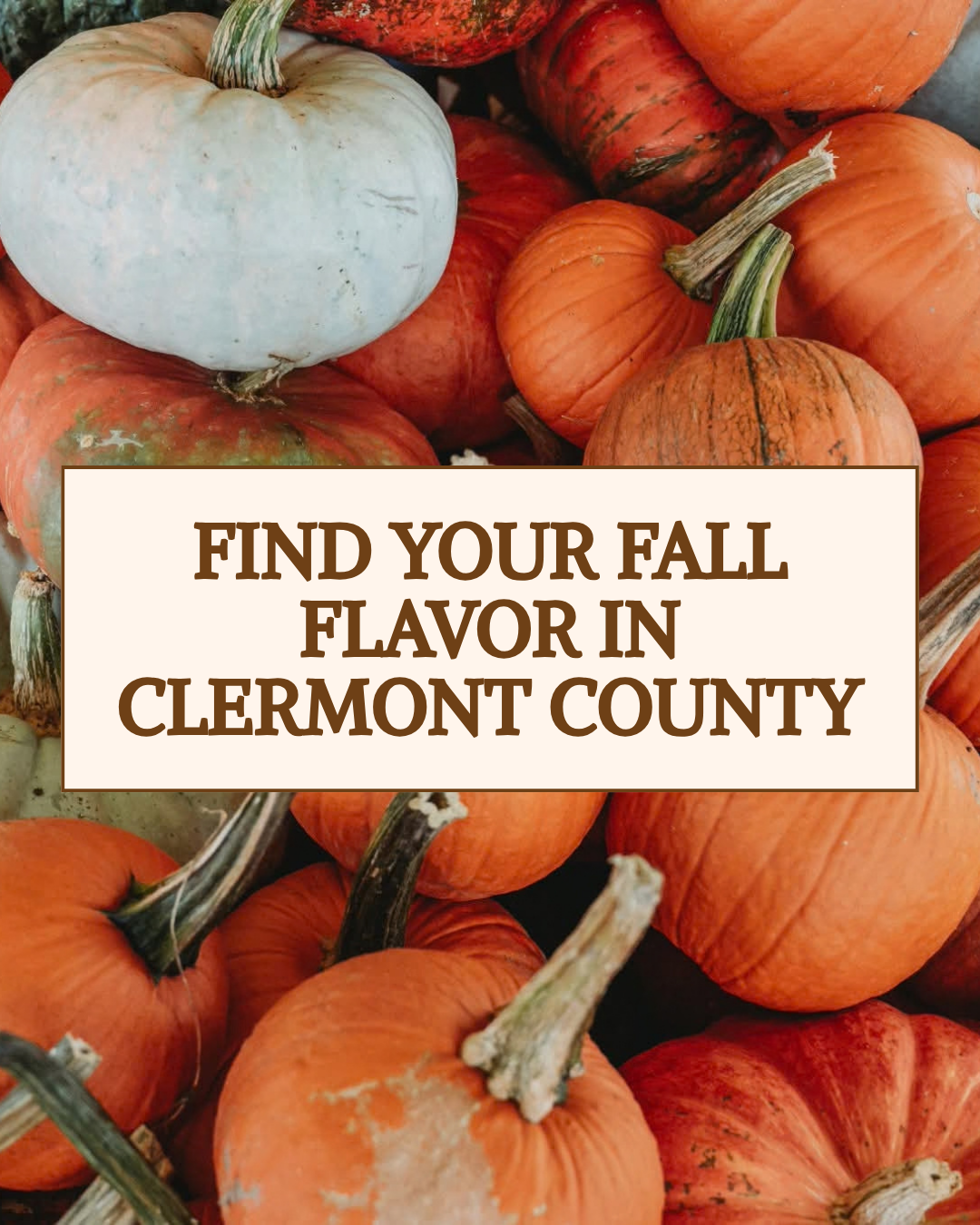 Find Your Fall Flavor in Clermont County