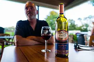 Harmony Hill Vineyards Chambourcin Wine Tasting