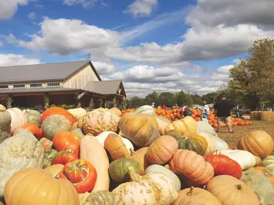 LAST BLAST OF SUMMER AND PSL SEASON BEGINS